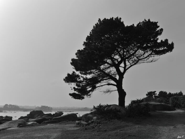 bretagne